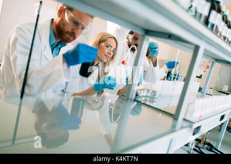 I giovani studenti di chimica lavora in laboratorio Foto Stock