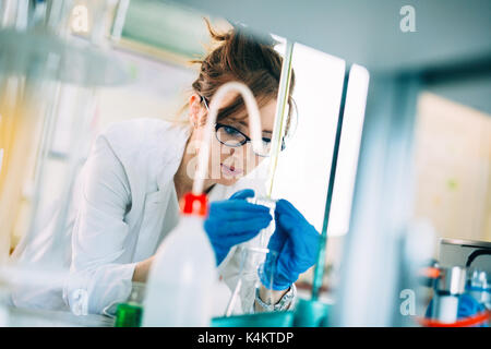 Attraente studente di lavorazione chimica in laboratorio Foto Stock