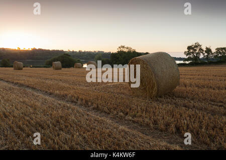 All'alba, con le sole solo rompendo l'orizzonte su un campo di grano tondo le balle di paglia che si affaccia Ravensthorpe serbatoio nel Northamptonshire, Inghilterra. Foto Stock