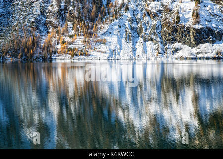 Colorati boschi innevati si riflette nelle limpide acque di Lej da Marmorera Val Sursette Cantone dei Grigioni Svizzera Europa Foto Stock