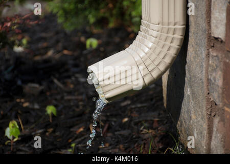 Una pioggia grondaia grondaia con acqua proveniente dal lato con un letto di fiori in background. profondità di campo. Foto Stock