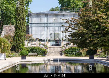 Francia, Senna Marittima (76), Rouen, le Jardin des Plantes, la serre centrale // Francia, Senna Marittima, Rouen, il Jardin des Plantes, il gre centrale Foto Stock