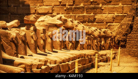 Avenue della ram-guidato sfingi. Tempio di Karnak. Luxor, Egitto Foto Stock