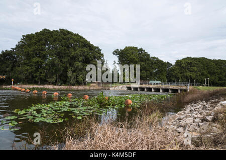 Burrell Lock & Dam Spillway Leesburg, Florida Foto Stock