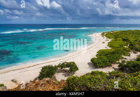 Clifftop vista di deserto di sabbia incontaminate della baia e della spiaggia con bosco e blu azzurro mare e coste di Barbuda, Antigua e Barbuda, Antille Foto Stock