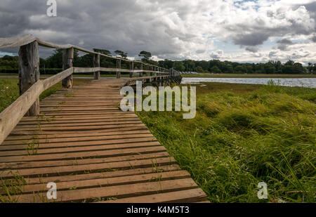 Una passerella di legno su velme ad alta marea a a Aberlady Bay natura locale riserva, East Lothian costa, Scotland, Regno Unito Foto Stock