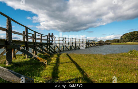 Coppia giovane camminando sulla passerella di legno su velme ad alta marea, a Aberlady Bay natura locale riserva, East Lothian, Scozia, Regno Unito Foto Stock