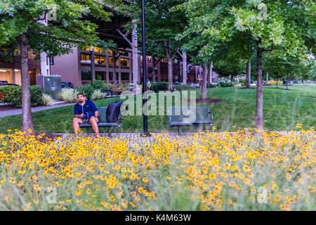 Washington DC, Stati Uniti d'America - 4 Agosto 2017: uomo seduto sulla panchina nel parco con molti giallo daisy fiori in serata in centro quartiere di Georgetown Foto Stock