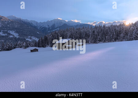 Il sole tramonta dietro gli alberi, tuora, flims, imboden, Grigioni, Svizzera, Europa Foto Stock