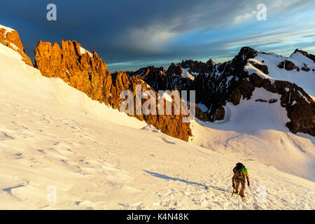 Scalatore su un ghiacciaio, barre des Ecrins, parco nazionale degli Ecrins, francese dauphine alpi, haute Alpes, Francia, Europa Foto Stock