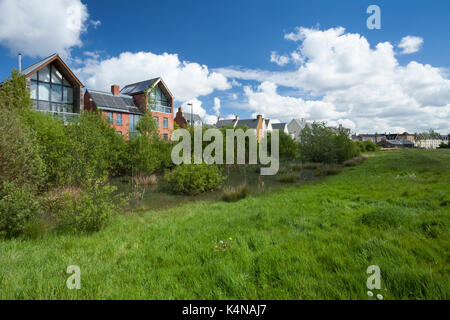 Un mix contemporaneo di stili architettonici accanto al parco con fauna selvatica-friendly bordi e zone umide di acqua piovana cattura, Northampton, Inghilterra. Foto Stock