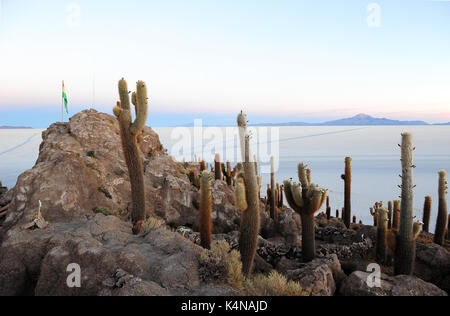 Sunrise vista del Salar de Uyuni dalla Isla del Pescado, una zona collinare e il promontorio roccioso di terra al centro di saline Foto Stock