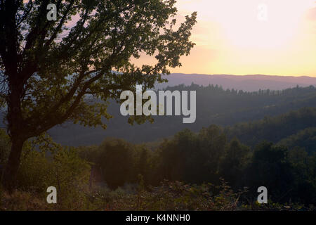 Tramonto vicino a Volpaia, Radda in Chianti, Toscana, Italia Foto Stock