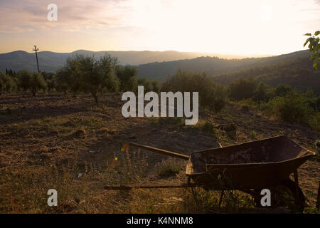 Tramonto vicino a Volpaia, Radda in Chianti, Toscana, Italia Foto Stock