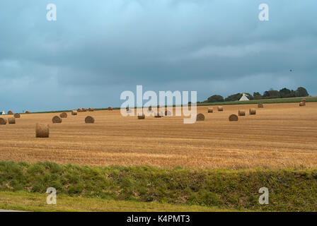 Fieno-whirl sul campo durante il raccolto in Bretagna (Francia) Foto Stock