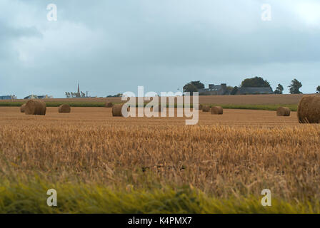 Fieno-whirl sul campo durante il raccolto in Bretagna (Francia) Foto Stock