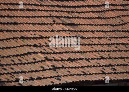 Close up della vecchia casa di paglia in Romania Foto Stock