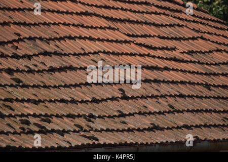 Close up della vecchia casa di paglia in Romania Foto Stock