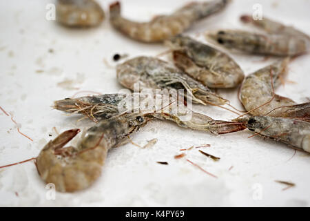 Gamberetti congelati sul mercato del pesce Foto Stock