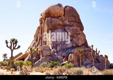 Boulder rock formazione nel parco nazionale di Joshua Tree Foto Stock