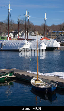 In pelo in inverno di riposo in Camden, Maine. Foto Stock