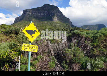 Segno di cautioning woodhens sulla strada, vicino a Mt Lidgbird, Isola di Lord Howe, NSW, Australia Foto Stock