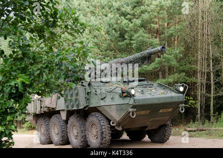 Gruppo di combattimento della Polonia Foto Stock
