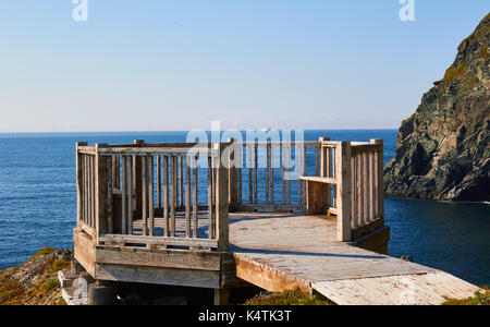 Visualizzazione di legno sopra la piattaforma di costa atlantica del Canada con iceberg all'orizzonte, Grande Penisola Settentrionale, Terranova, Canada Foto Stock