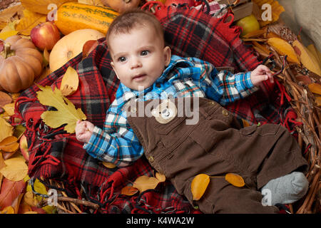 Bambino giacciono su red tartan scozzese giallo con foglie di autunno, mele, zucca e decorazione, caduta stagione Foto Stock