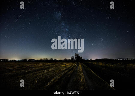 Bellissima vista della via lattea su un campo coltivato e alberi lontani Foto Stock