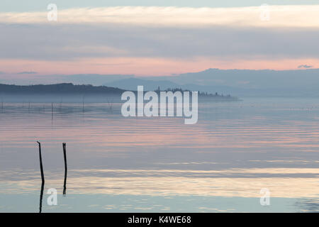 Il lago al tramonto con nebbia e bella, morbide e colori caldi e pali di legno in primo piano Foto Stock