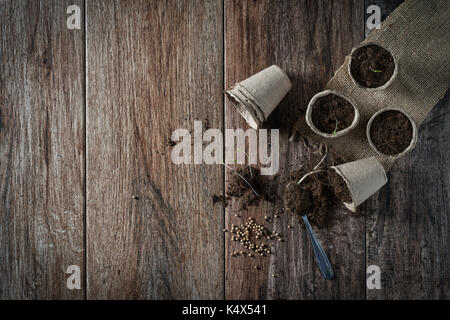 Coltivazione di piante in vaso da semi di torba biodegradabile pentole sul legno rustico sfondo. homegrown cibo, vegatables, self-sufficien home, sostenibile Foto Stock