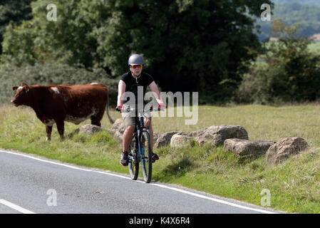 Ciclista a cavallo su minchinhampton common vicino a Stroud gloscestershire England Regno Unito. Foto Stock