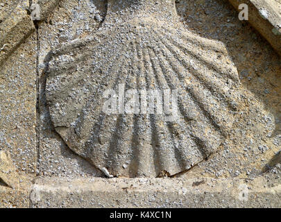 Una muratura in pietra scaloppina al simbolo della shell di san Giacomo il maggiore presso la chiesa parrocchiale di San Giacomo a southrepps, Norfolk, Inghilterra, Regno Unito. Foto Stock