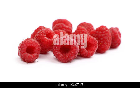 Gruppo di freschi maturi rosso lampone maturo di frutti di bosco isolato su sfondo bianco, vicino fino a basso angolo di visione Foto Stock