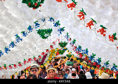 Strade decorate con fiori di carta. Festa della gente (Festas do Povo). Campo Maior, Portogallo Foto Stock