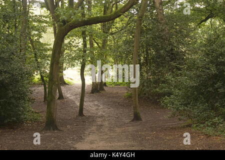 Hampstead Heath, Londra Foto Stock
