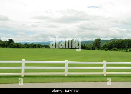 Verdi Pascoli con cemento bianco recinzione e cielo molto nuvoloso Foto Stock