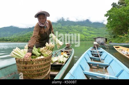 (170908) -- Provincia di Vientiane (Laos), sept. 8, 2017 (Xinhua) -- un abitante locale pile citronella alla barca su nam ngum lake, vicino Phou Kao nang village, provincia di Vientiane, Laos, sept. 7, 2017. Circa 400 residenti vivono in Phou Kao nang villaggio che si trova su uno dei nam ngum Lake Islands. (Xinhua/liu ailun) Foto Stock