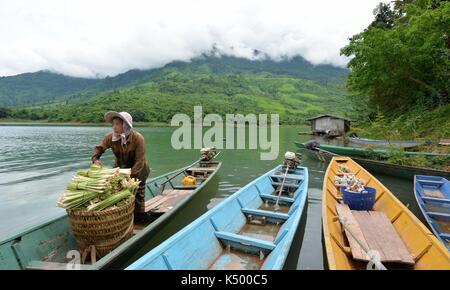 (170908) -- Provincia di Vientiane (Laos), sept. 8, 2017 (Xinhua) -- un abitante locale pile citronella alla barca su nam ngum lake, vicino Phou Kao nang village, provincia di Vientiane, Laos, sept. 7, 2017. Circa 400 residenti vivono in Phou Kao nang villaggio che si trova su uno dei nam ngum Lake Islands. (Xinhua/liu ailun) Foto Stock