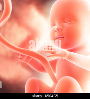 Feto umano medical concetto grafico e background scientifico, 3d'illustrazione. Foto Stock