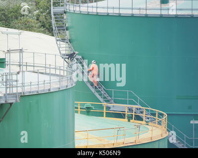 Pendennis Shipyard Cornwall Regno Unito Foto Stock