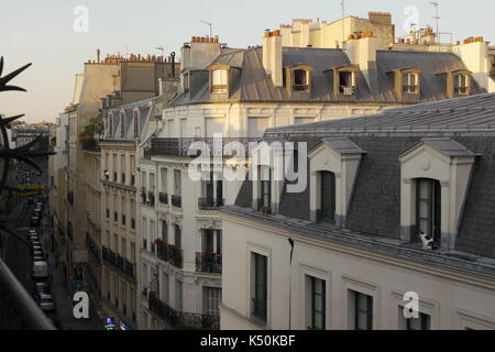 Cat in un freddo tin roof. un gatto a Parigi guarda giù sul suo territorio. Foto Stock