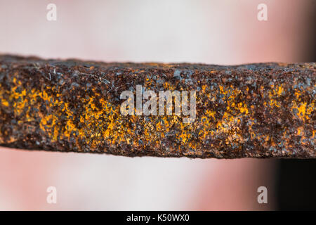 Primo piano del ferro forgiato asta Foto Stock