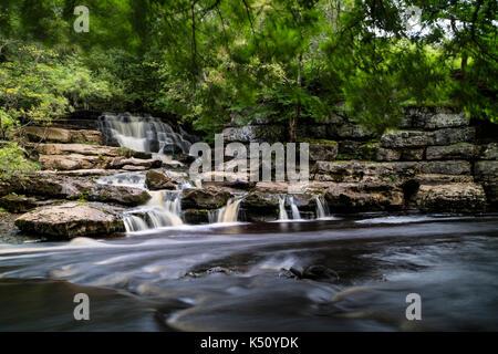 Oriente Gill Cascate Inferiori che confluiscono nel fiume Swale vicino Keld, Swaledale, Yorkshire Dales, REGNO UNITO Foto Stock