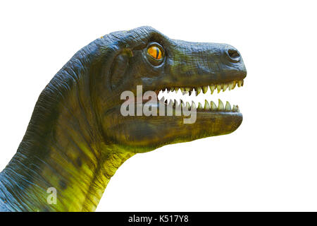 Primo piano della testa di dinosauro isolato su bianco. Foto Stock