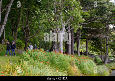 Bosco a piedi a Kylemore Abbey sulle rive del Lough Pollacappul in Connemara, nella contea di Galway, Repubblica di Irlanda Foto Stock