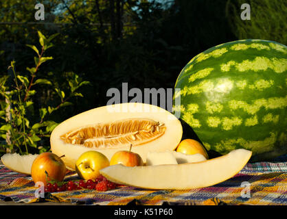 Ancora vita con taglio melone, fette di melone, anguria, mele, rosso di uve secche di Corinto e di lamponi Foto Stock