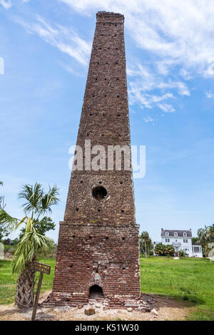 Georgia,Darien,Butler Island Plantation,piantagione di riso,sito storico della Guerra civile,mulino a vapore,USA Stati Uniti America Nord America,G Foto Stock