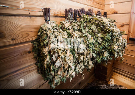 Scope di betulla su una parete in legno in bagno russain. Molti scope di betulla Foto Stock